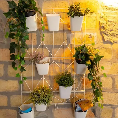 Bakina Kuca * 哥鲁拜克